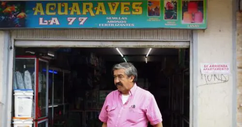 TIENDA VETERINARIA ACUARAVES TIENDA VETERINARIA ACUARAVES